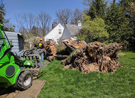 American Arbor, LLC Image